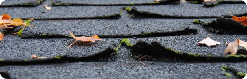 an image of a roof with curling shingles