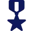 veteran badge star icon